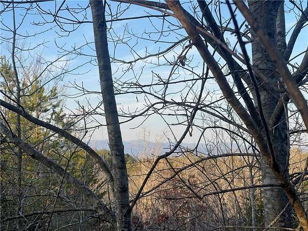 25.9 Acres of Land for Sale in Tamassee, South Carolina