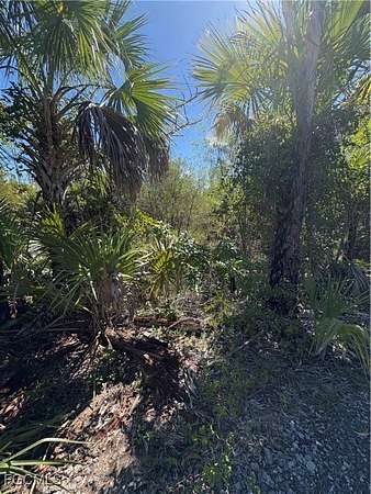5 Acres of Land for Sale in Naples, Florida