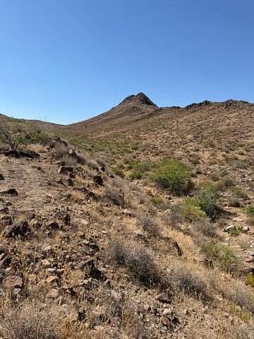 159 Acres of Agricultural & Residential Land for Sale in Golden Valley, Arizona
