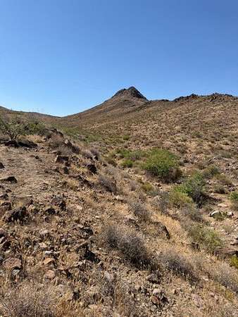 159 Acres of Agricultural & Residential Land for Sale in Golden Valley, Arizona