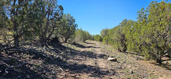 47.5 Acres of Land for Sale in Williams, Arizona