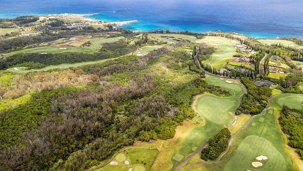 34.4 Acres of Land for Sale in Lahaina, Hawaii