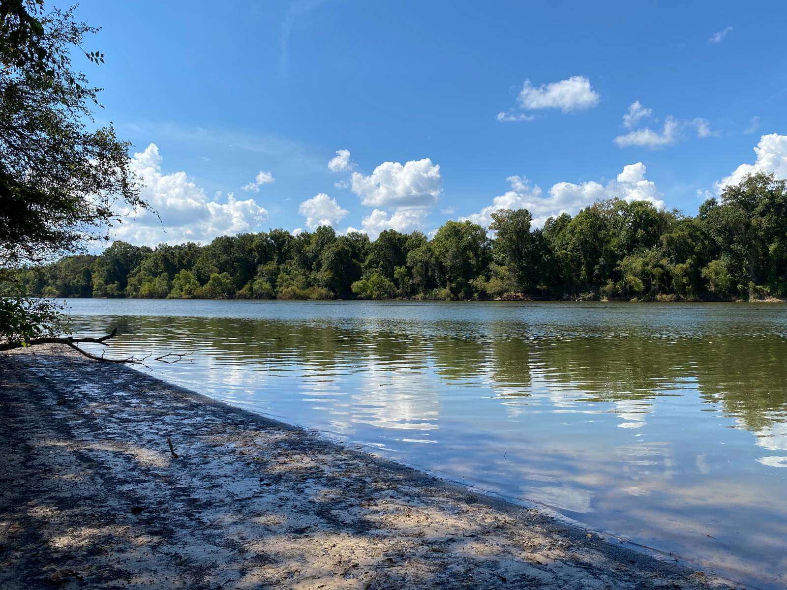 865 Acres of Recreational Land for Sale in Tensaw, Alabama