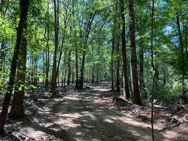 285 Acres of Recreational Land for Sale in Tensaw, Alabama