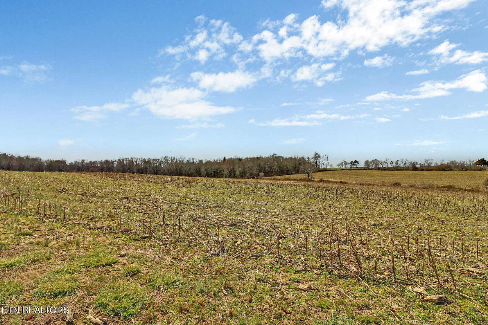 41.7 Acres of Recreational Land & Farm for Sale in Jamestown, Tennessee