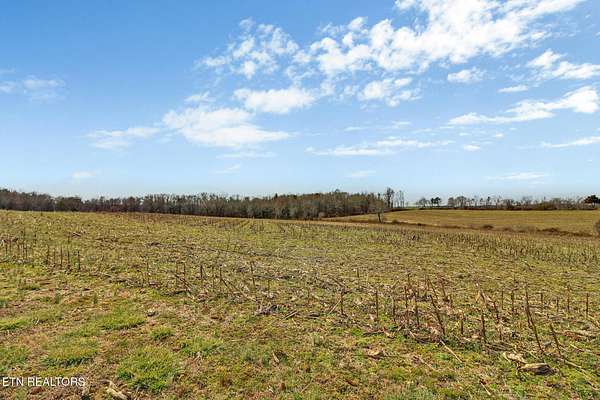 40 Acres of Recreational Land & Farm for Sale in Jamestown, Tennessee