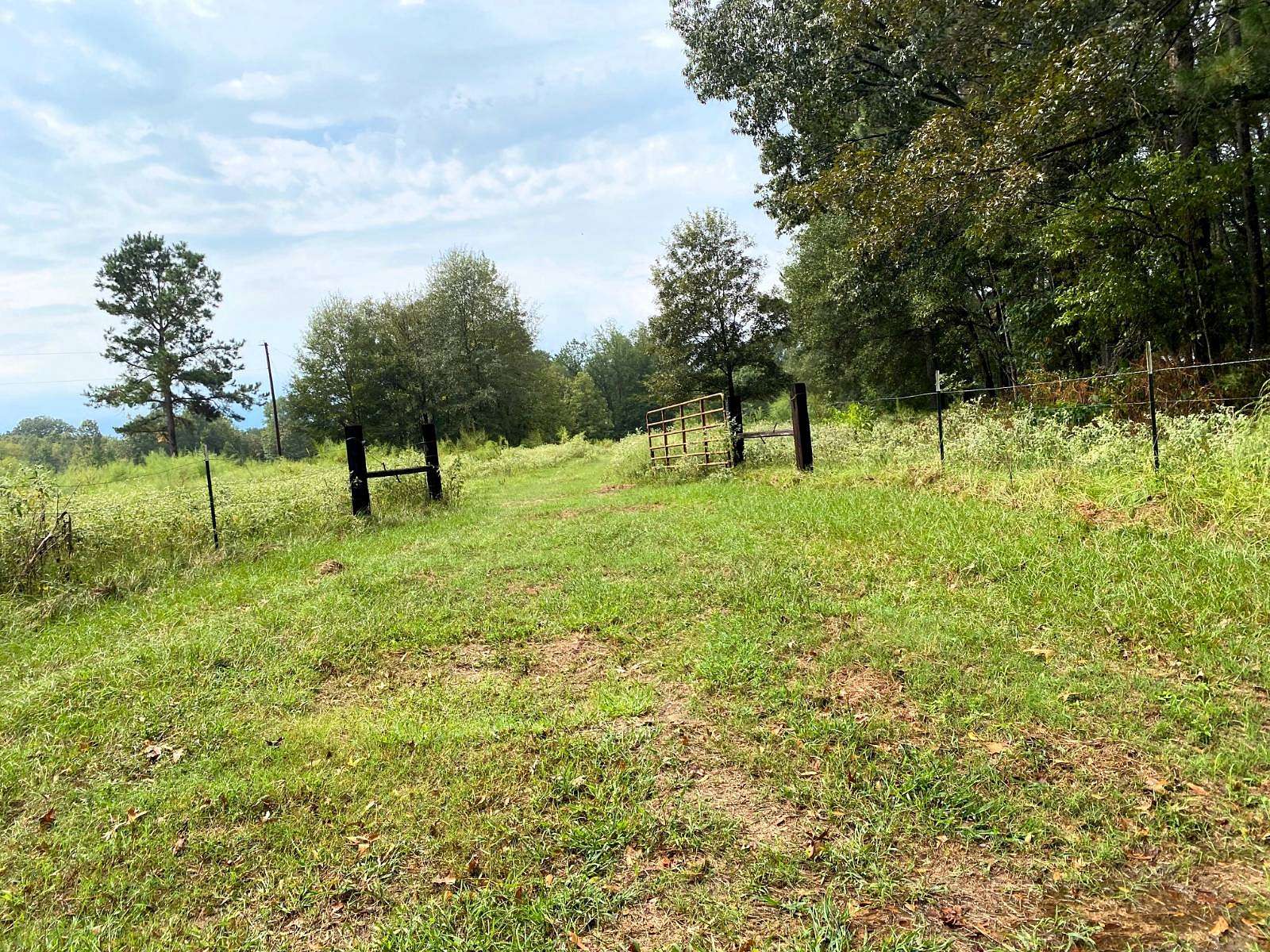 55 Acres of Recreational Land & Farm for Sale in Winthrop, Arkansas
