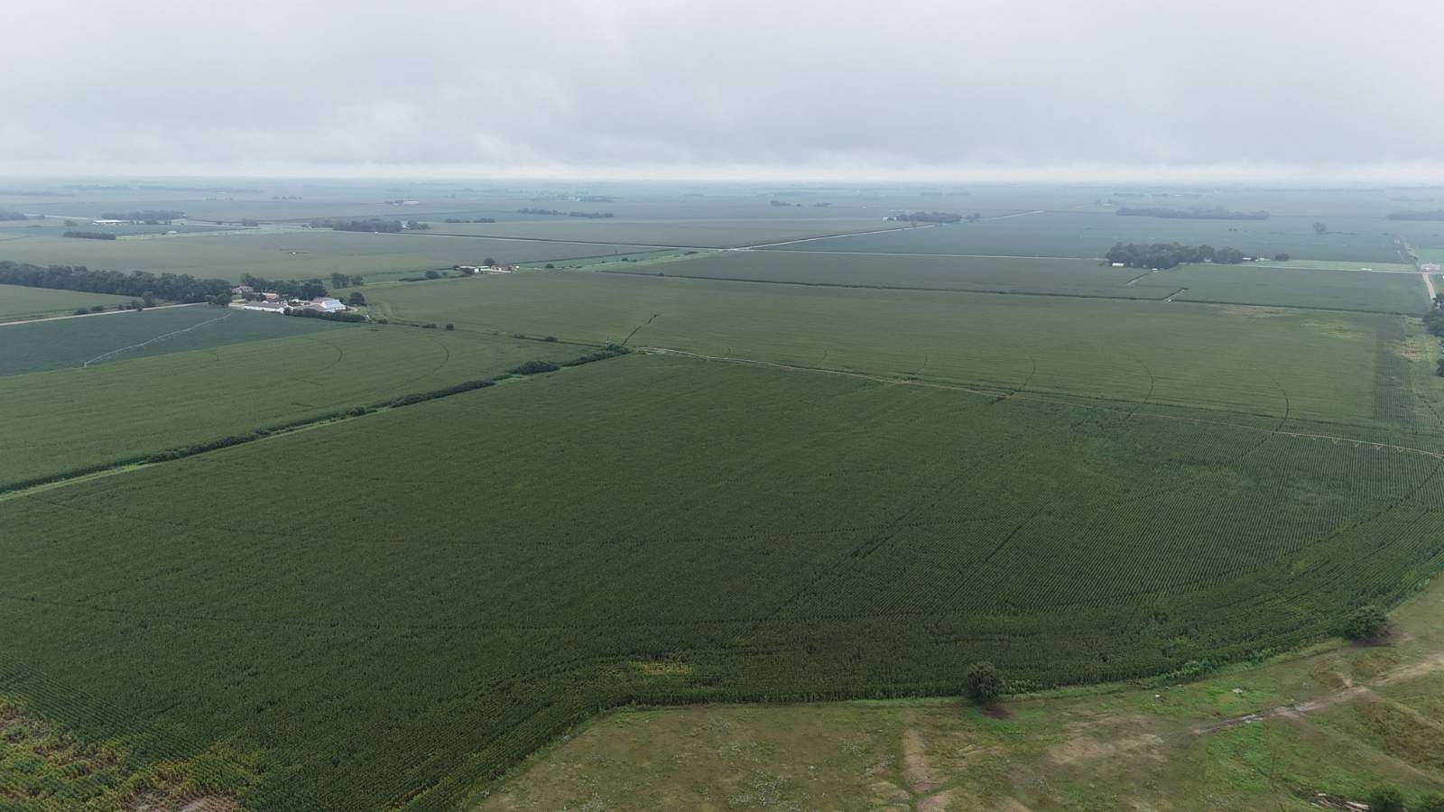 111 Acres of Agricultural Land for Sale in Phillips, Nebraska