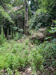 0.19 Acres of Residential Land for Sale in Luverne, Alabama