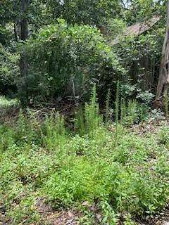 0.19 Acres of Residential Land for Sale in Luverne, Alabama