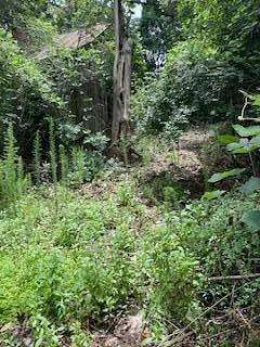 0.19 Acres of Residential Land for Sale in Luverne, Alabama