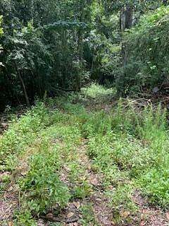 0.19 Acres of Residential Land for Sale in Luverne, Alabama
