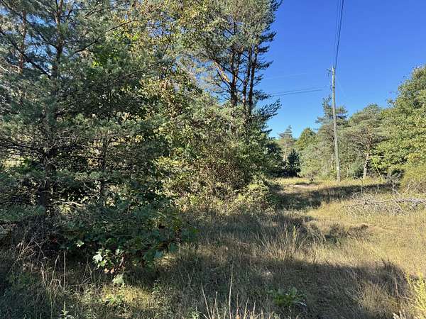 6 Acres of Residential Land for Sale in Newaygo, Michigan