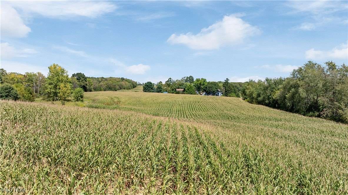 5 Acres of Agricultural Land for Auction in Canton, Ohio
