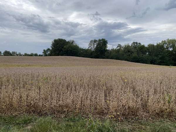 60 Acres of Land for Auction in Denver, Indiana