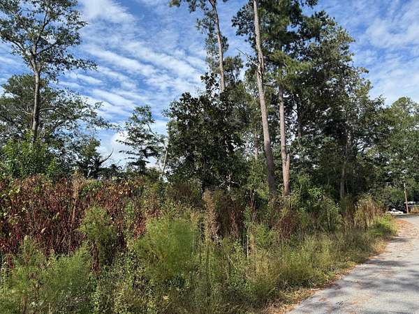 0.37 Acres of Residential Land for Sale in Augusta, Georgia