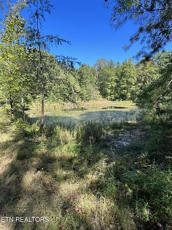 20 Acres of Recreational Land for Sale in Sparta, Tennessee