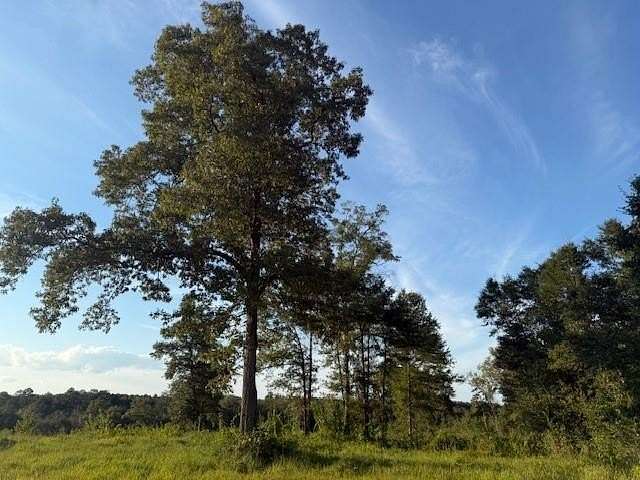5.65 Acres of Residential Land for Sale in Mobile, Alabama