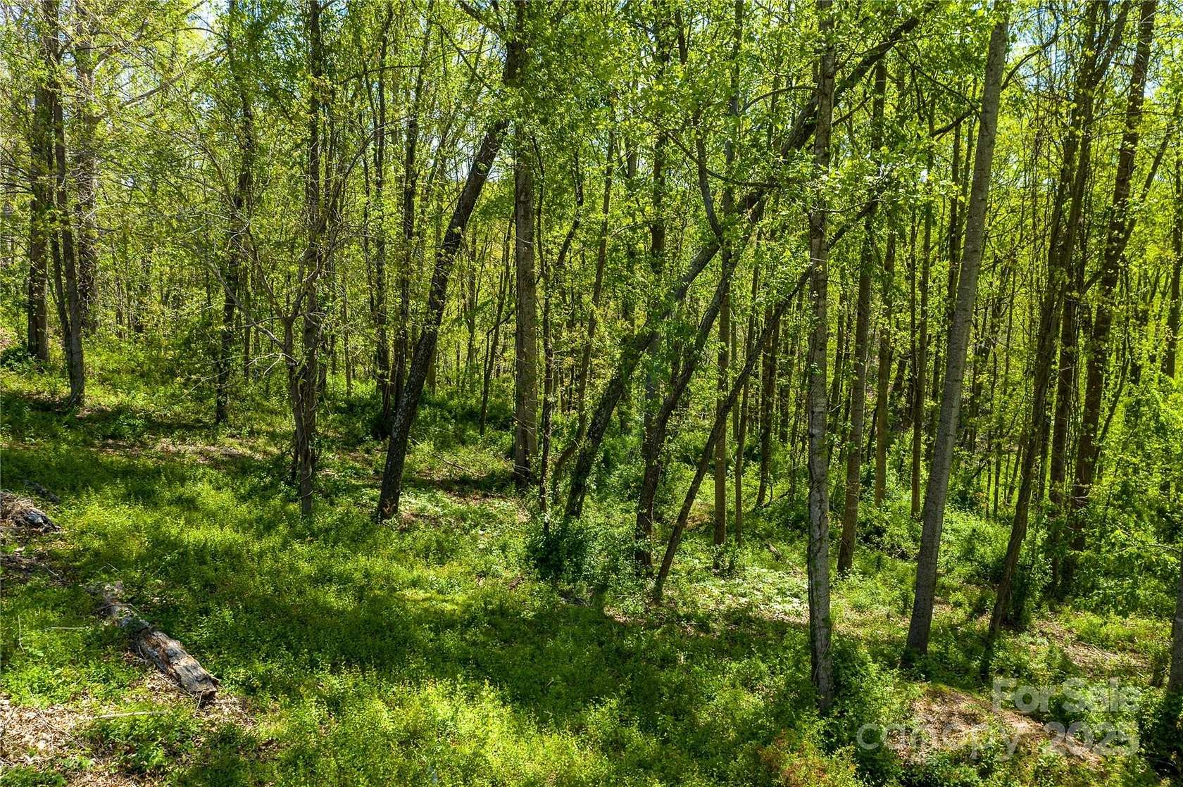 1.32 Acres of Residential Land for Sale in Asheville, North Carolina