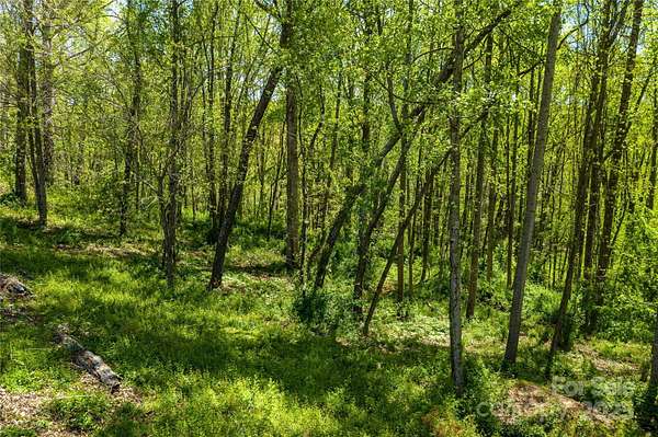 1.32 Acres of Residential Land for Sale in Asheville, North Carolina