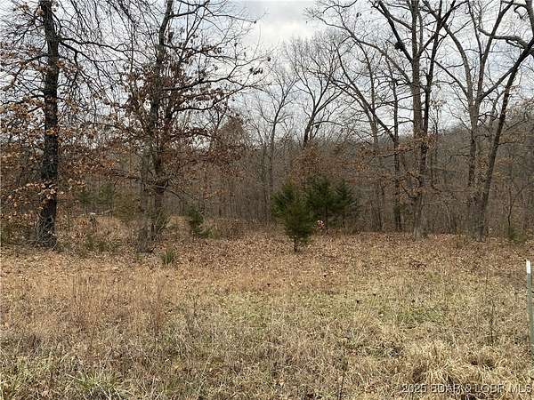 4.5 Acres of Residential Land for Sale in Gravois Mills, Missouri