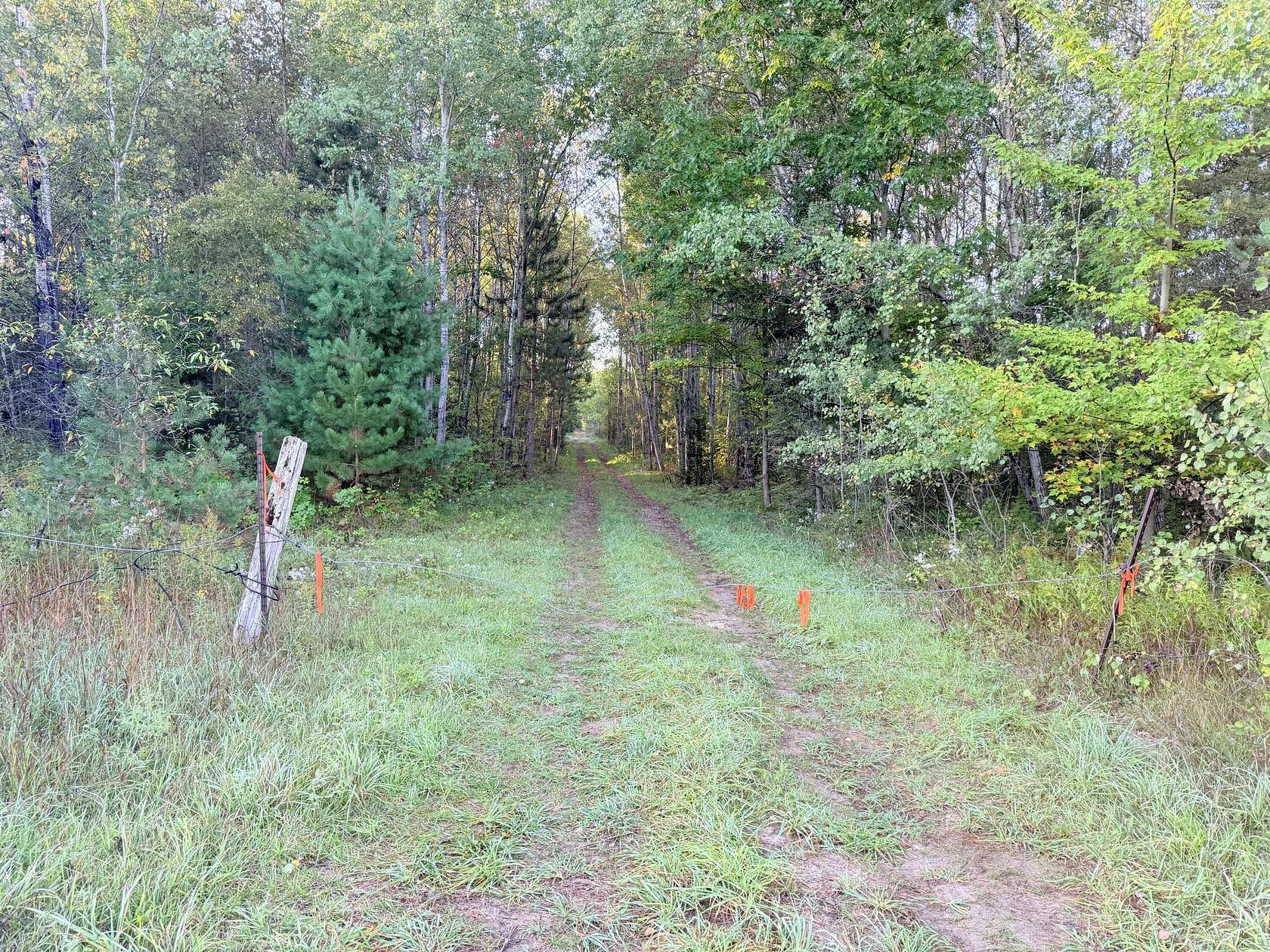 30.3 Acres of Recreational Land for Sale in Cadillac, Michigan