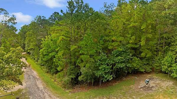 0.22 Acres of Residential Land for Sale in Brookeland, Texas