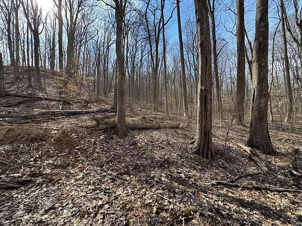 100 Acres of Recreational Land for Sale in Hillsboro, Kentucky