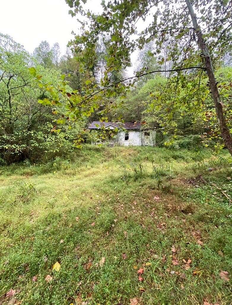 15 Acres of Recreational Land for Sale in Sidney, Kentucky