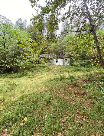 15 Acres of Recreational Land for Sale in Sidney, Kentucky