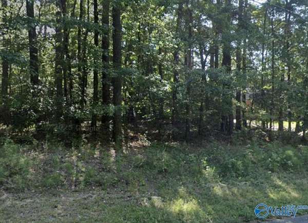 0.55 Acres of Residential Land for Sale in Gadsden, Alabama