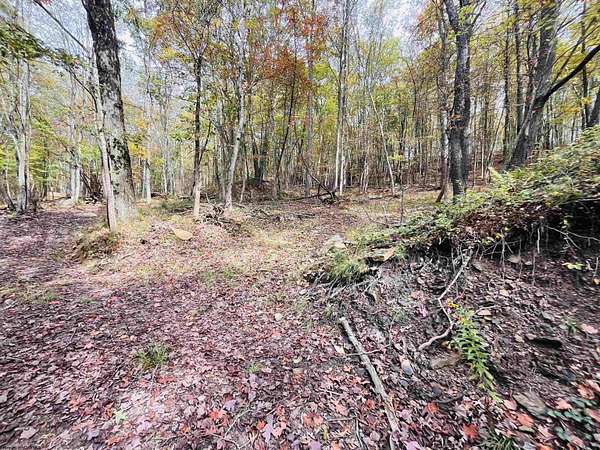 3.84 Acres of Residential Land for Sale in Terra Alta, West Virginia
