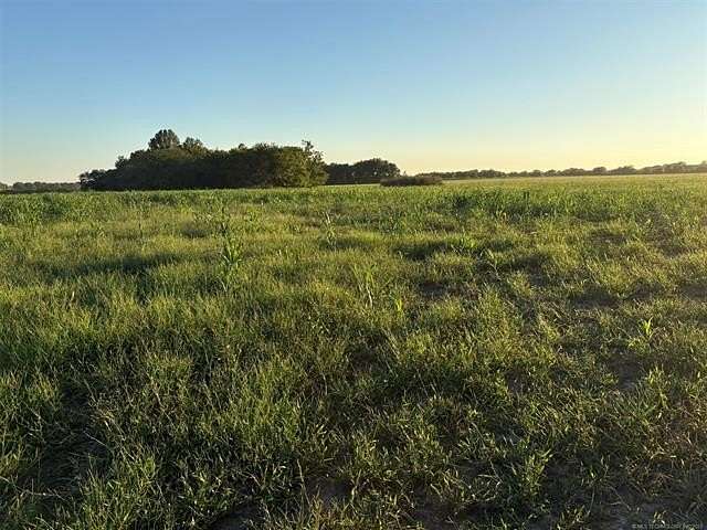 40 Acres of Agricultural & Residential Land for Sale in Wagoner, Oklahoma