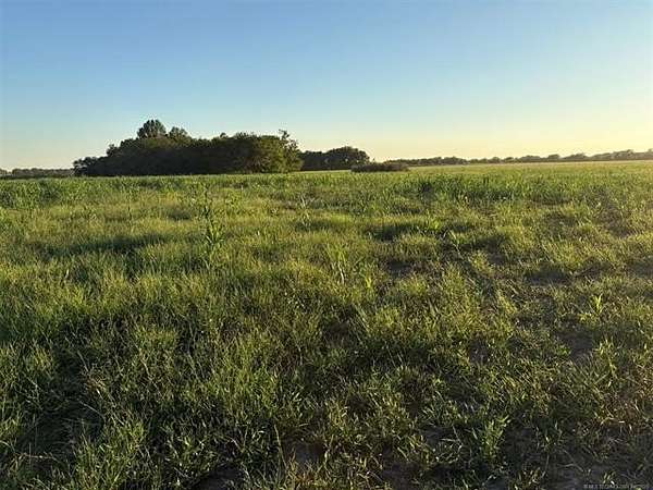 40 Acres of Agricultural Land for Sale in Wagoner, Oklahoma