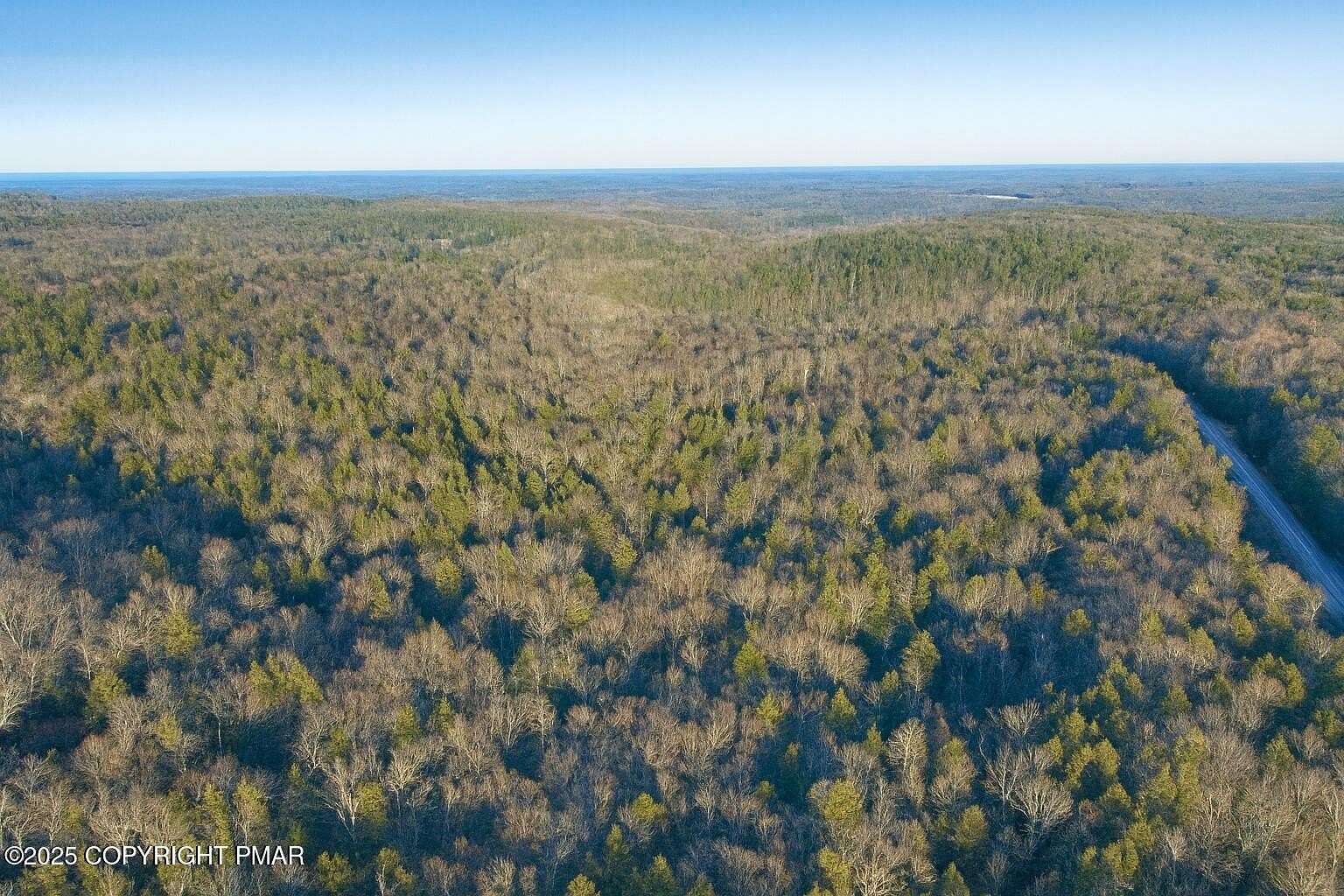 40 Acres of Land for Sale in Newfoundland, Pennsylvania