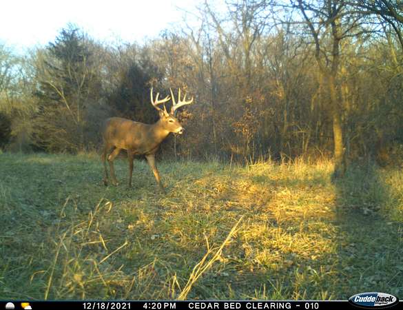 167 Acres of Recreational Land & Farm for Sale in Albia, Iowa