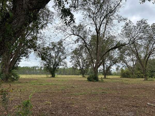 25.8 Acres of Recreational Land for Sale in Glennville, Georgia