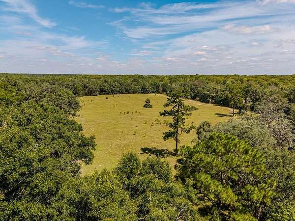 15 Acres of Recreational Land for Sale in Old Town, Florida