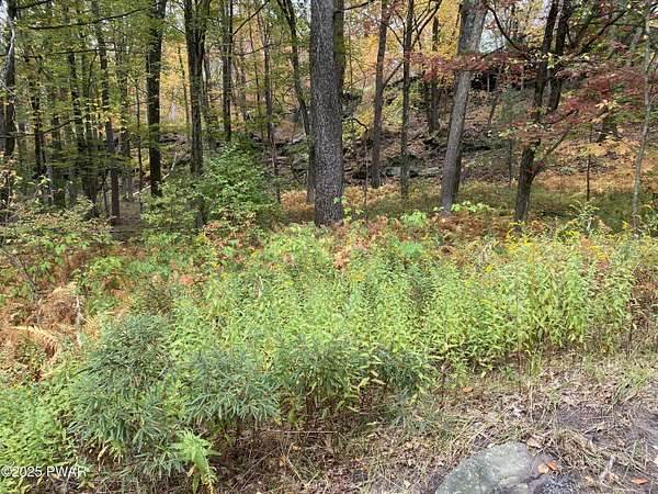 0.75 Acres of Residential Land for Sale in Lords Valley, Pennsylvania