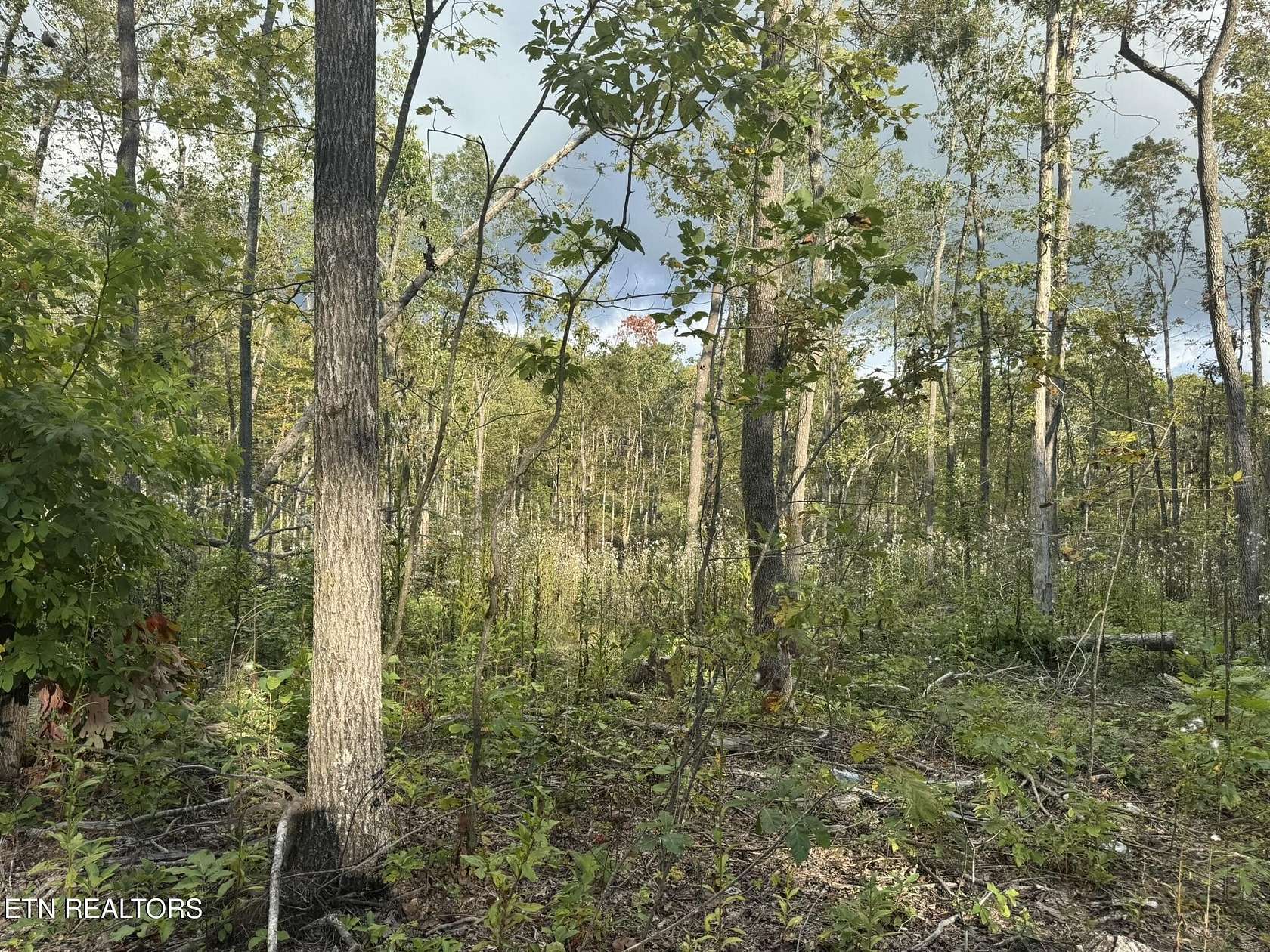 4.72 Acres of Residential Land for Sale in Crossville, Tennessee