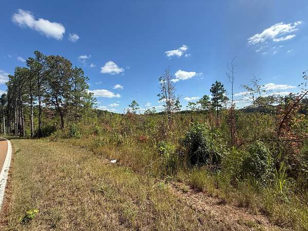 9.16 Acres of Residential Land for Sale in Adamsville, Tennessee