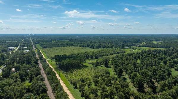 235 Acres of Improved Land for Auction in Waycross, Georgia