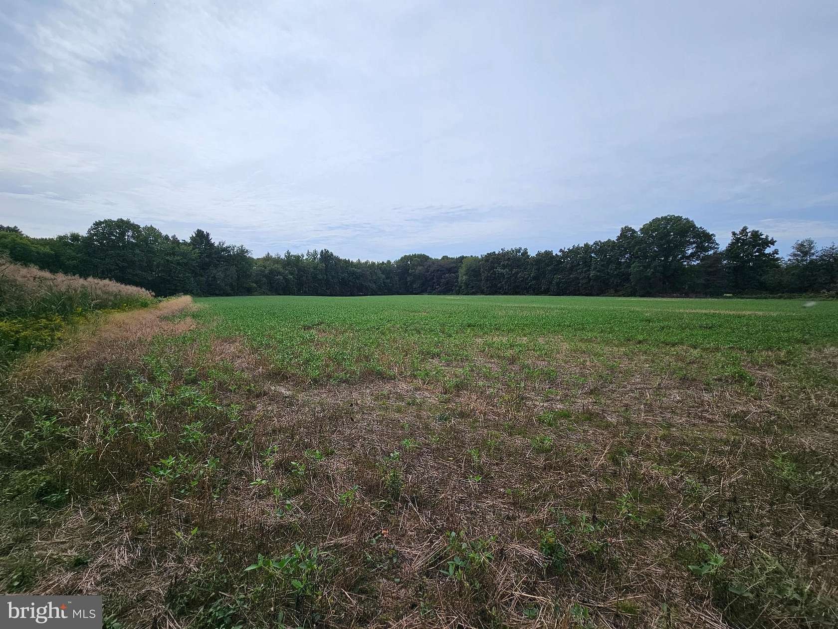 10 Acres of Land for Sale in Bordentown, New Jersey