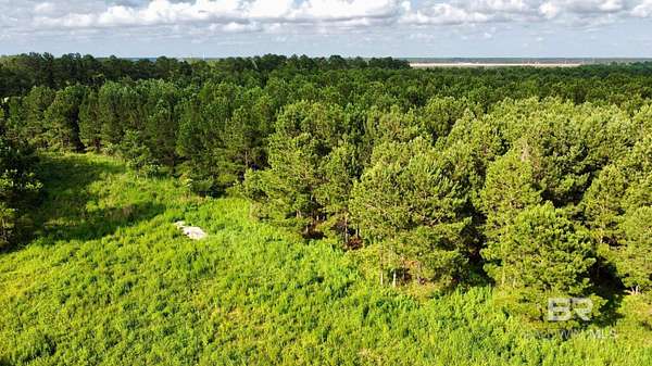 Residential Land for Sale in Foley, Alabama