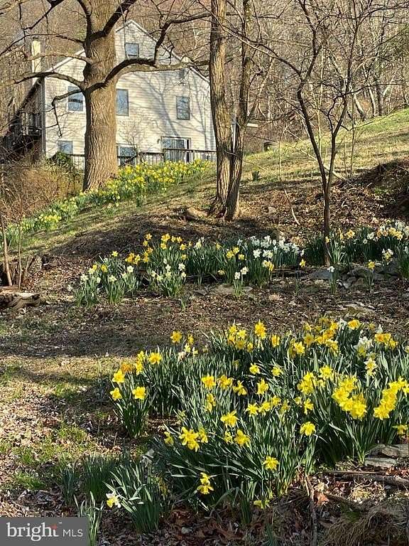 4 Acres of Residential Land with Home for Sale in Linden, Virginia