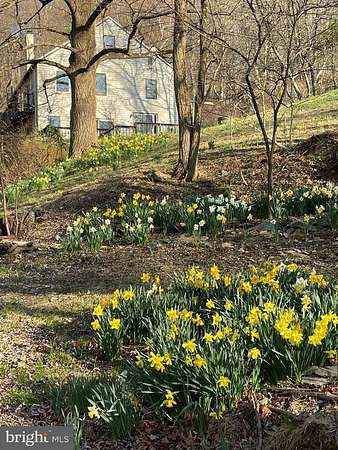 4 Acres of Residential Land with Home for Sale in Linden, Virginia