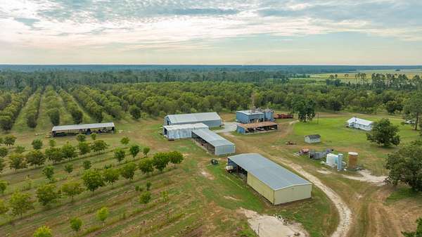 1,181 Acres of Improved Land for Auction in Lakeland, Georgia