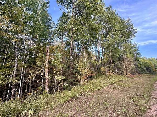 13.3 Acres of Recreational Land for Sale in Gnesen Township, Minnesota
