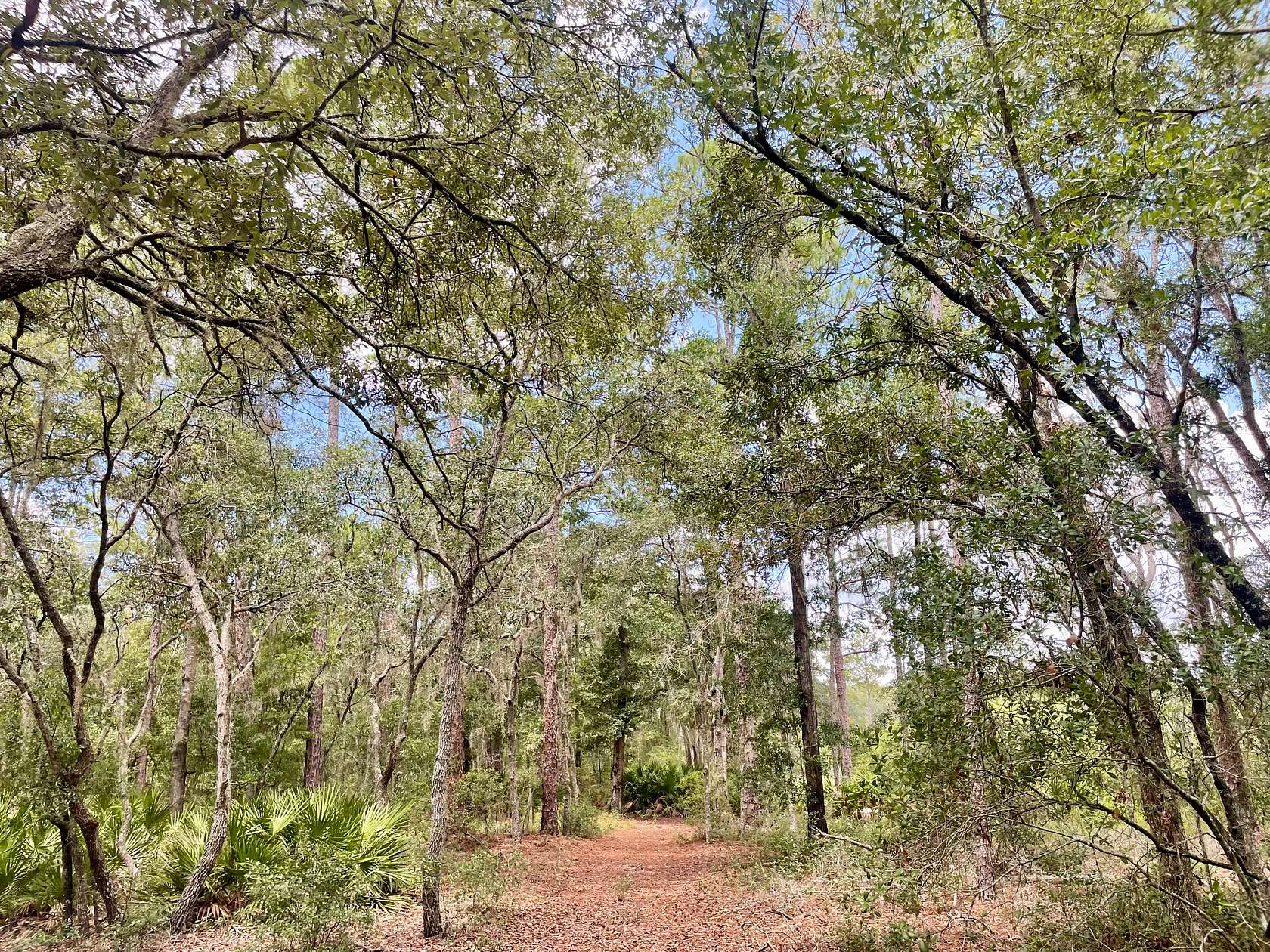 10 Acres of Recreational Land for Sale in Branford, Florida