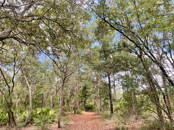 10 Acres of Recreational Land for Sale in Branford, Florida